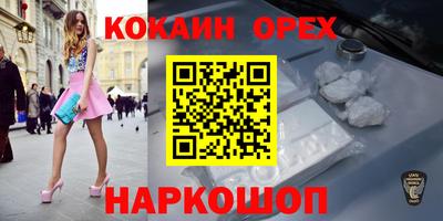 прущие грибы Будённовск