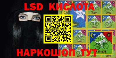 прущие грибы Будённовск