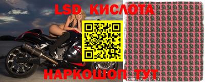 прущие грибы Будённовск