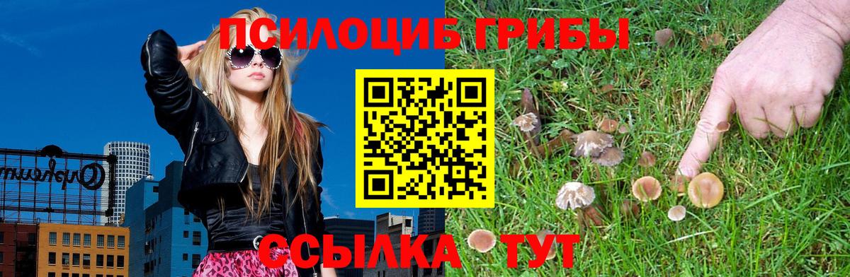 Саров  Псилоцибиновые грибы мухоморы  Вход с VPN 